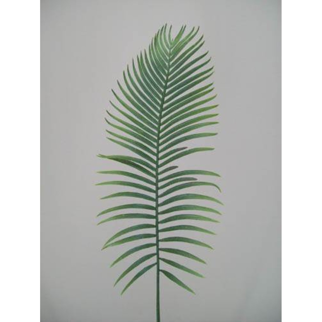 Large Artificial Cycas Palm Leaf Artificial Leaves